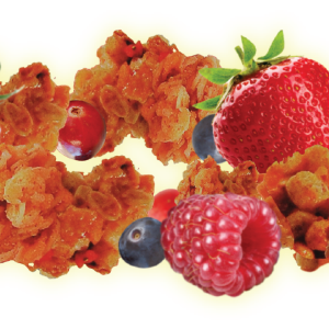 Δημητριακά Granola και Κόκκινα Φρούτα HORECA 1Kgr